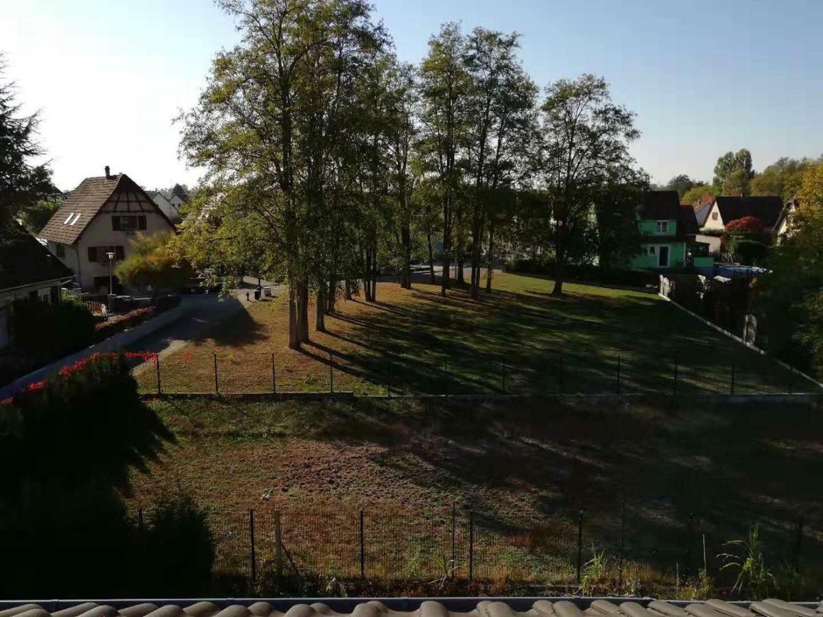 Appart Les Cerises Entre Strasbourg Et Haguenau Bischwiller Exterior foto