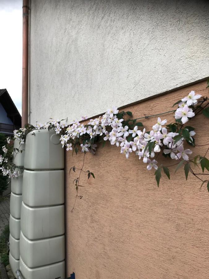 Appart Les Cerises Entre Strasbourg Et Haguenau Bischwiller Exterior foto