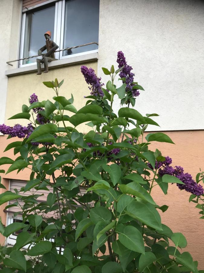 Appart Les Cerises Entre Strasbourg Et Haguenau Bischwiller Exterior foto